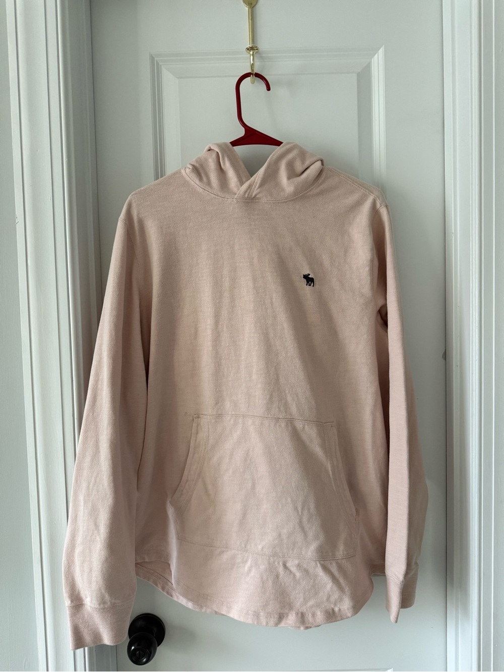 Abercrombie & Fitch Light Pink Embroidered Moose Hoodie